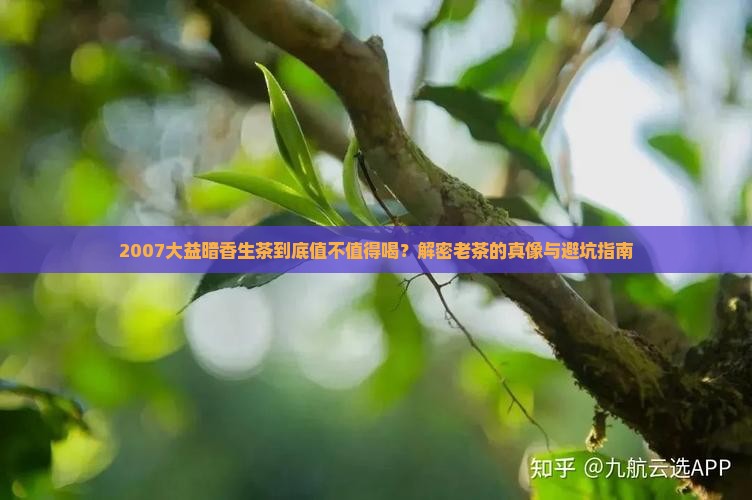 2007大益暗香生茶