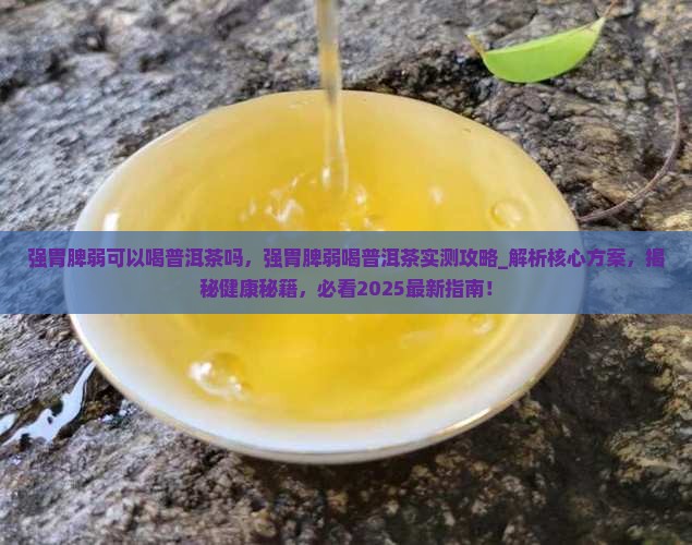 强胃脾弱可以喝普洱茶吗