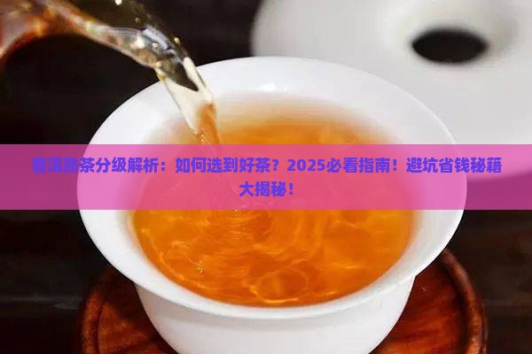 普洱熟茶的分级