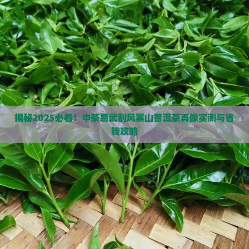 中茶易武刮风寨山普洱茶
