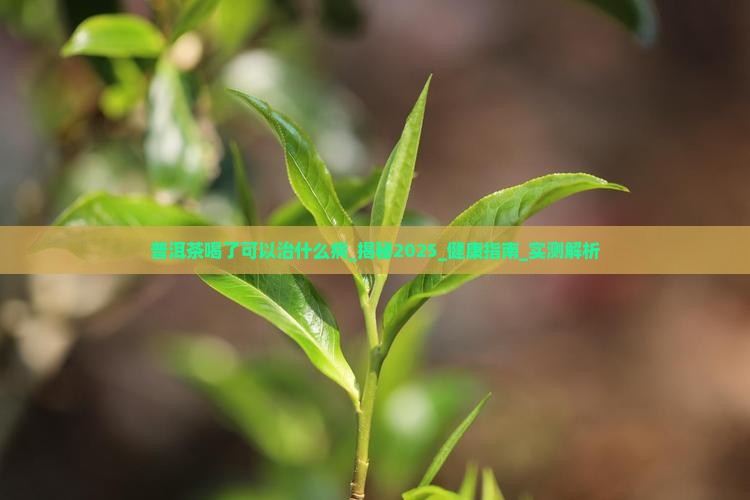 普洱茶喝了可以治什么病
