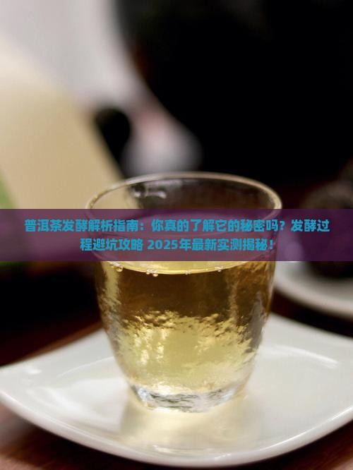 普洱茶发酵研究 普洱茶发酵研究