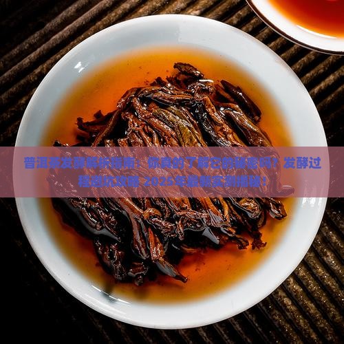 普洱茶发酵研究 普洱茶发酵研究