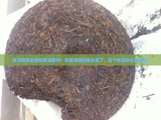 普洱茶体重减轻很快