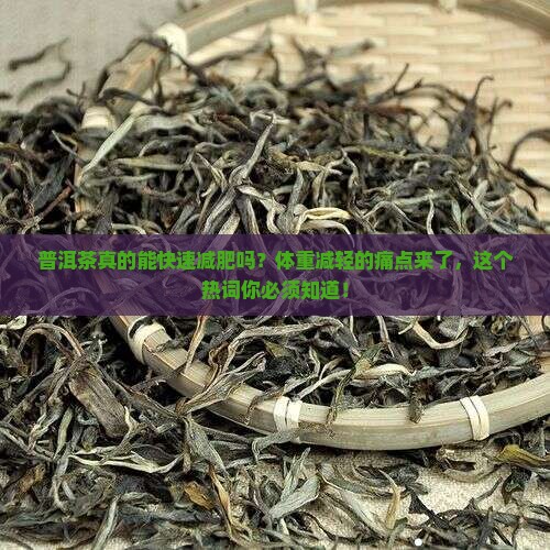 普洱茶体重减轻很快