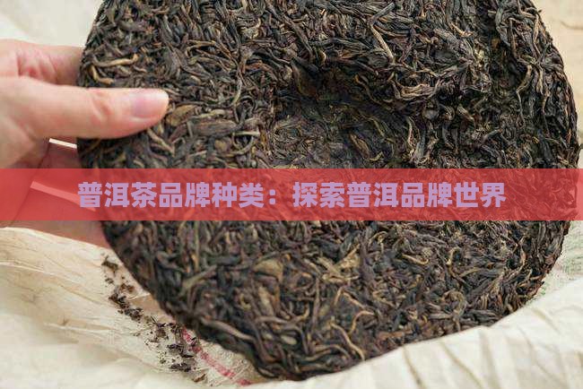 普洱茶品牌种类 普洱茶品牌种类
