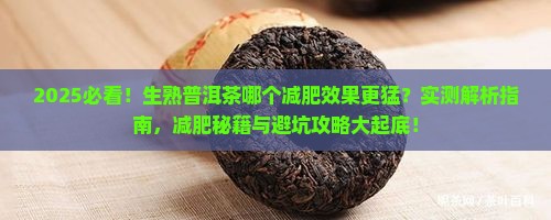 生熟普洱茶哪个减肥