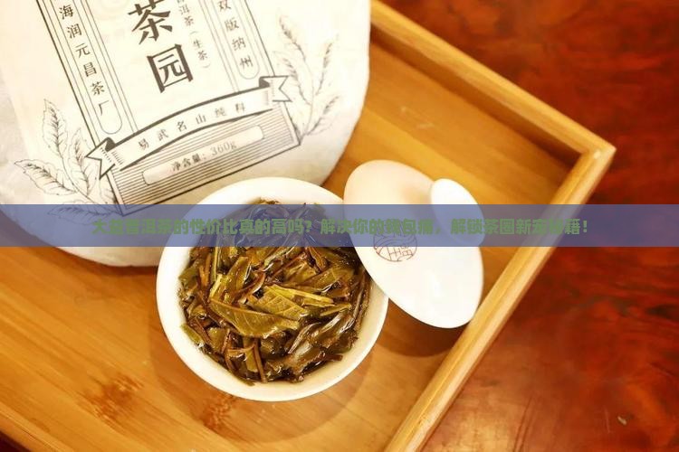 大益普洱茶的性价比 大益普洱茶的性价比