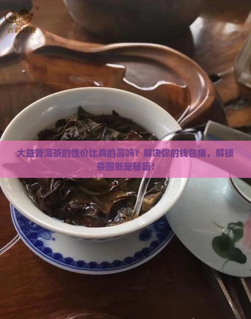 大益普洱茶的性价比 大益普洱茶的性价比