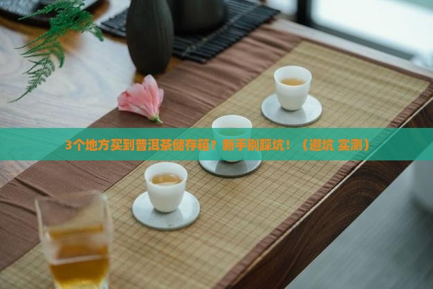 普洱茶的储存箱在哪里可以买到