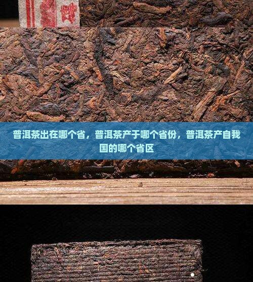 普洱茶出在哪个省