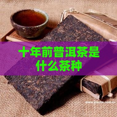 十年前普洱茶是什么茶种