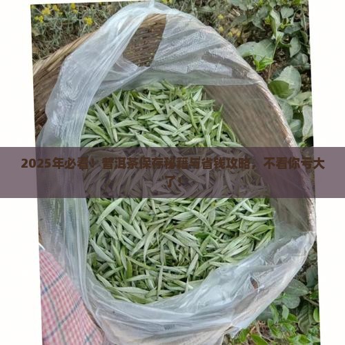 请问普洱茶怎么保存好