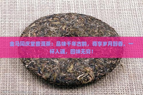 金马同庆堂普洱茶