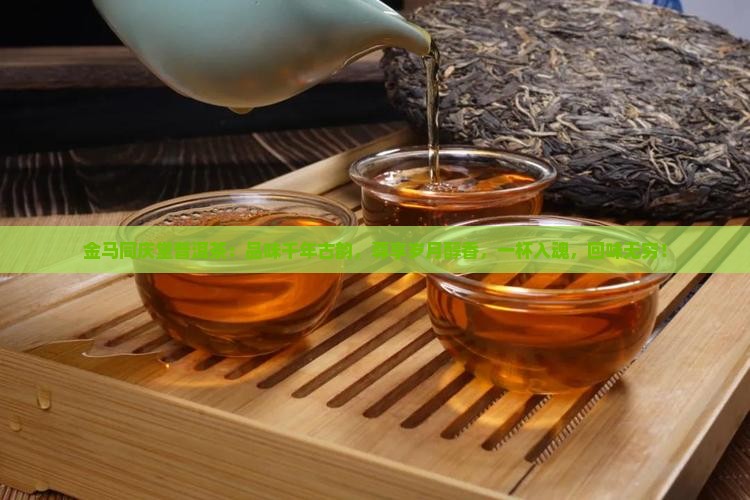 金马同庆堂普洱茶