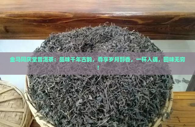 金马同庆堂普洱茶