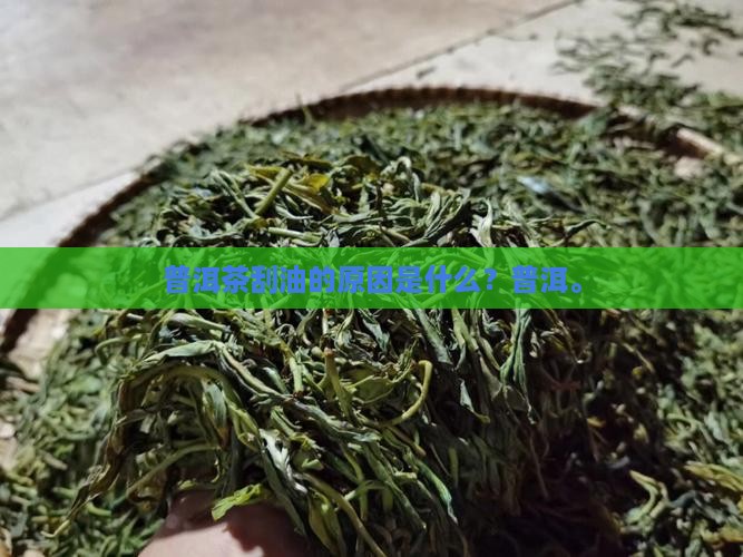 普洱茶刮油是什么原因