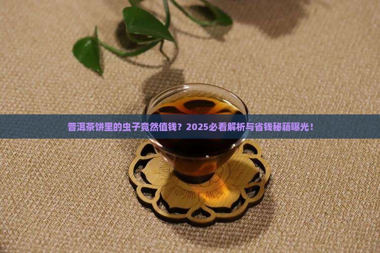 普洱茶饼茶虫值钱吗