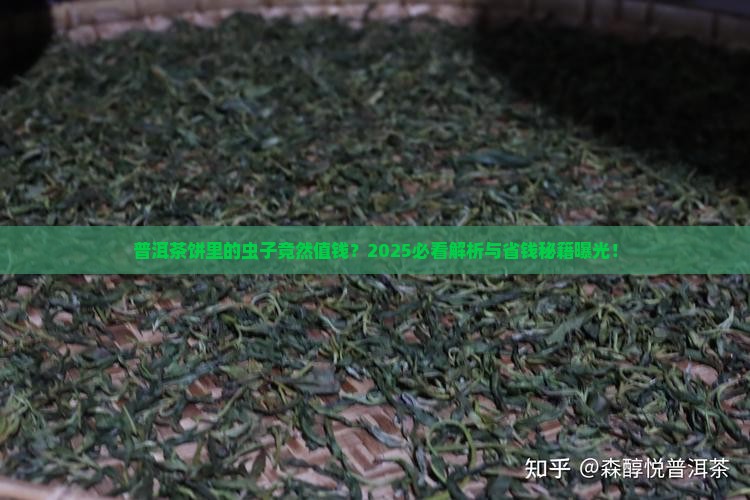 普洱茶饼茶虫值钱吗