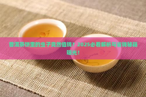 普洱茶饼茶虫值钱吗