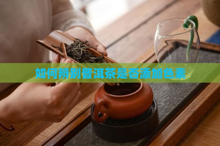 鉴别色素普洱茶
