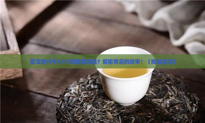 普洱茶代号7375