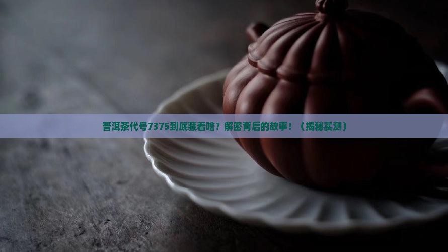 普洱茶代号7375
