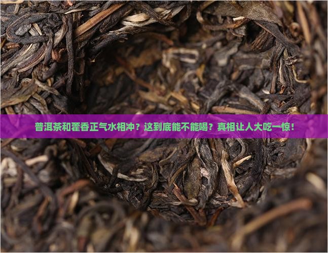 普洱茶和藿香正气水相冲