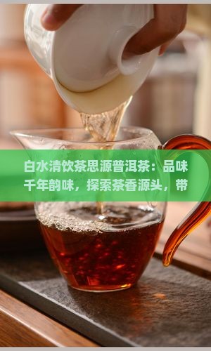 白水清饮茶思源普洱茶