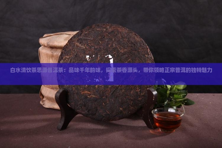 白水清饮茶思源普洱茶
