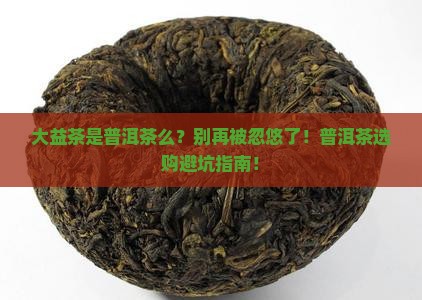 大益茶是普洱茶么
