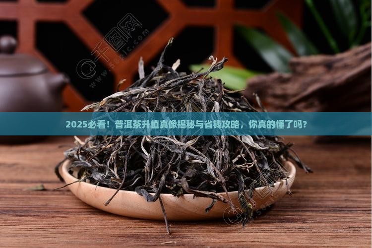 怎么看待普洱茶升值