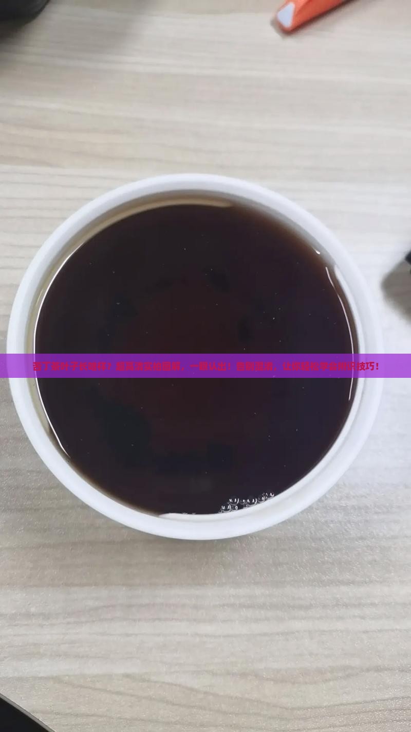 苦丁茶叶子长啥样