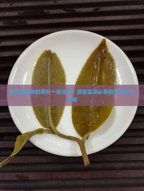 菊花可以和别的茶叶一起泡么