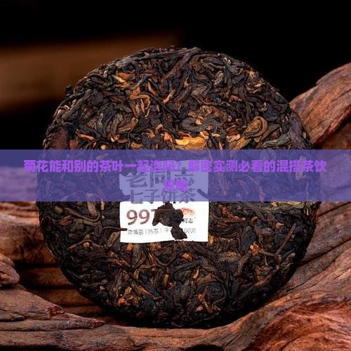 菊花可以和别的茶叶一起泡么