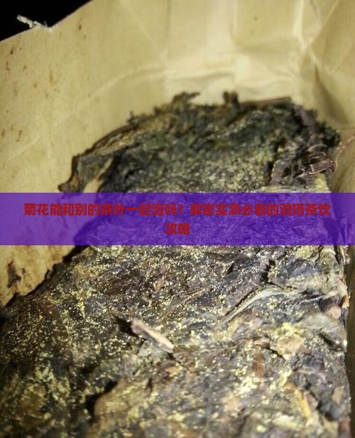 菊花可以和别的茶叶一起泡么