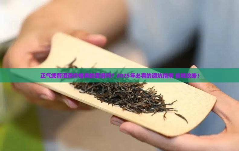正气塘普洱茶价格查询