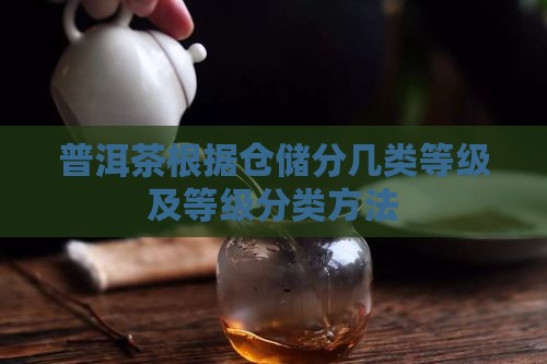 普洱茶根据仓储分几类等级