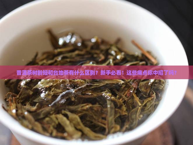 普洱茶树龄短和台地茶有什么特点