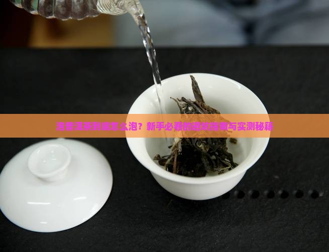泡普洱茶知识点