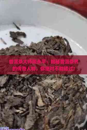 普洱茶大师陶永平