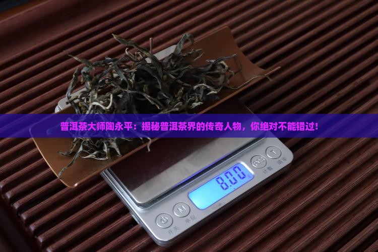 普洱茶大师陶永平