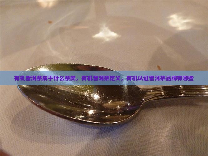有机普洱茶属于什么茶类
