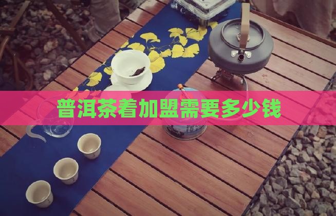 普洱茶着加盟需要多少钱