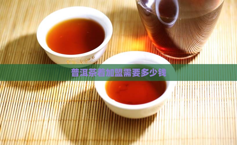 普洱茶着加盟需要多少钱