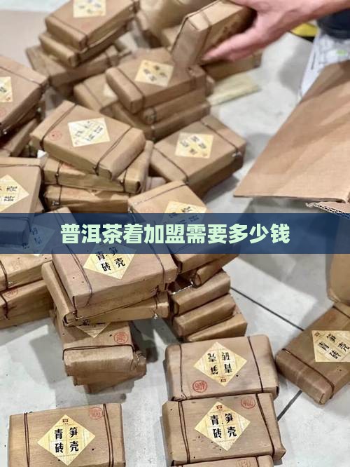 普洱茶着加盟需要多少钱