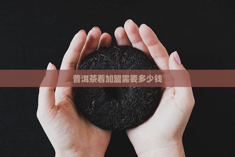 普洱茶着加盟需要多少钱