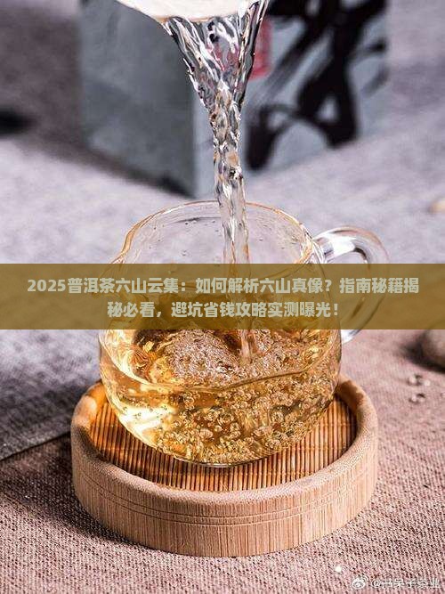 普洱茶六山云集