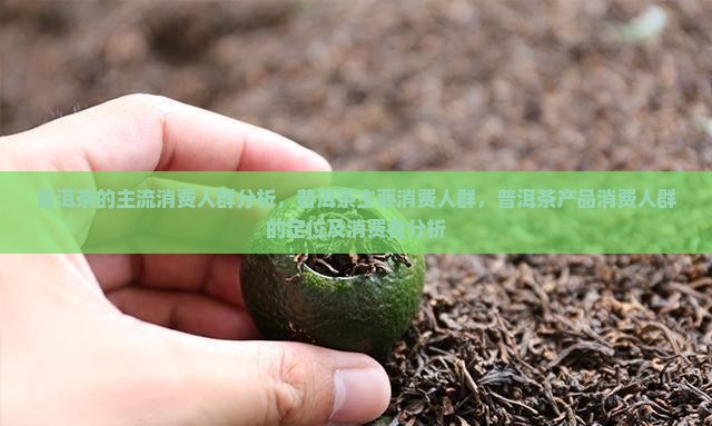 普洱茶的主流消费人群分析