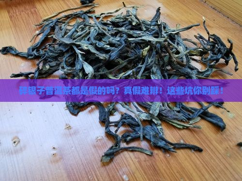 碎银子普洱茶都是假的吗